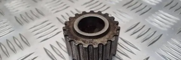 Renault Scenic I Crankshaft gear 073905
