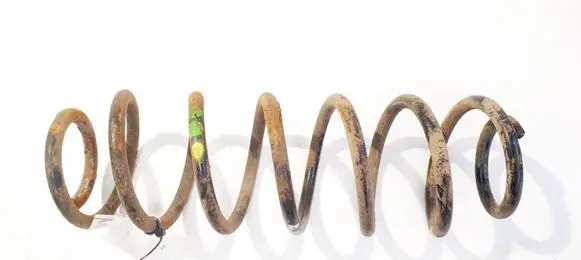 Rear coil spring