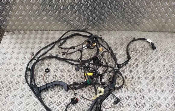Engine installation wiring loom