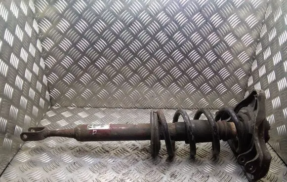 Audi A4 S4 B7 8E 8H Front shock absorber with coil spring