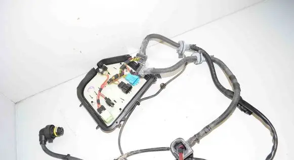 Other wiring loom