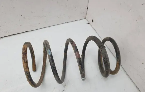 Daihatsu Sirion Rear coil spring 