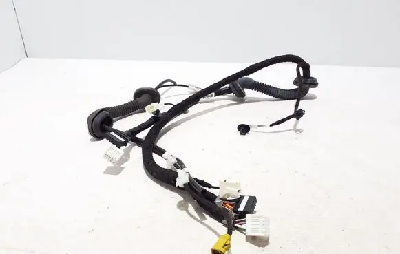 Other wiring loom