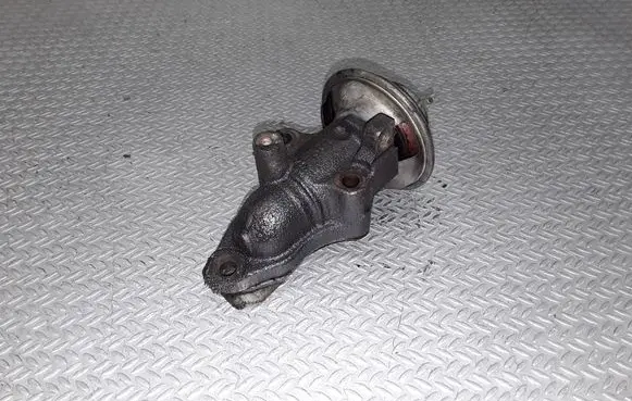 EGR valve