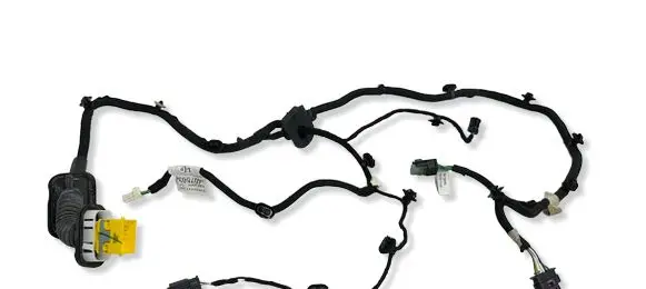 Citroen C4 III e-C4 Rear door wiring loom 9840756380 47681