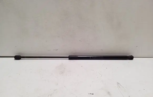 Tailgate/trunk strut/damper