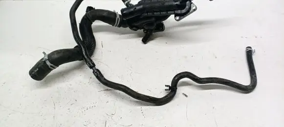 Ford Focus Thermostat/thermostat housing 