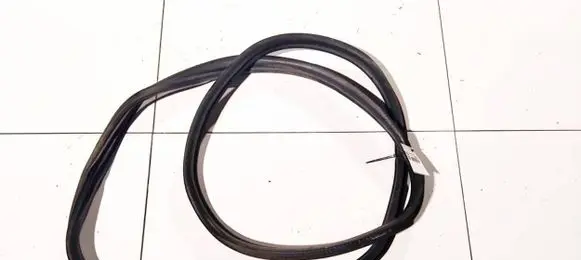Citroen C3 Rubber seal rear door 