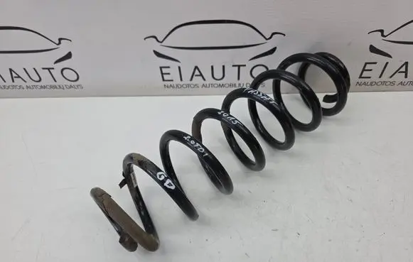 Rear coil spring