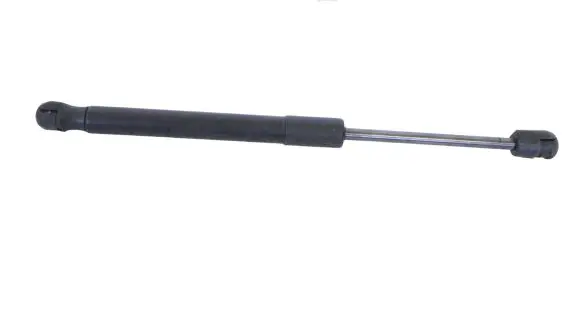 Ford Mustang VI Tailgate/trunk strut/damper FR3B76406A10AB