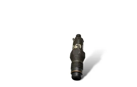 Citroen Berlingo Fuel injector LCR6736001