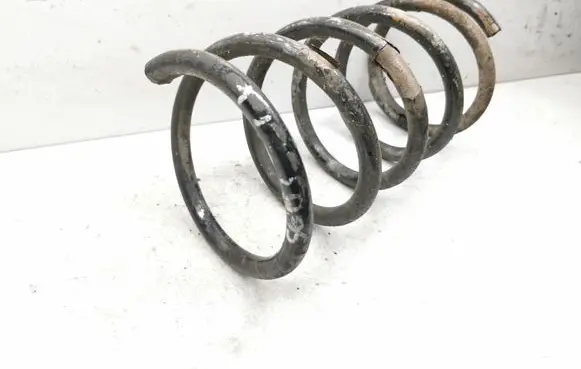 Rear coil spring