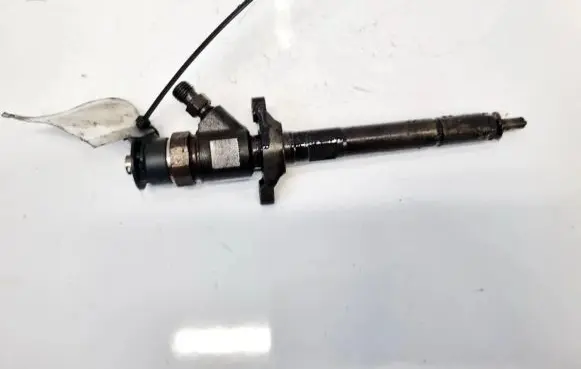 Citroen C5 Fuel injector 0445110297