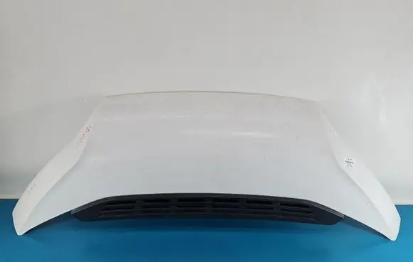 Engine bonnet/hood