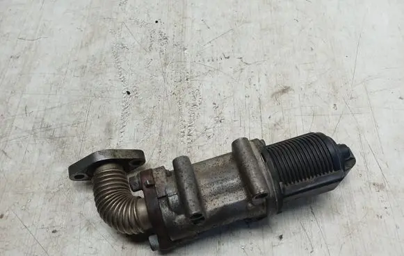 Opel Zafira B EGR valve 50024005