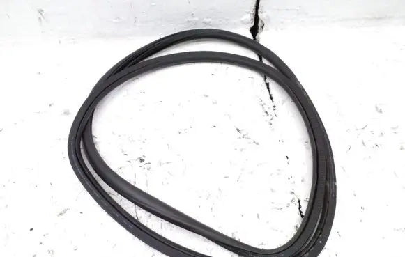 Opel Zafira C Front door rubber seal 13259937