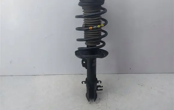 Fiat Doblo Front shock absorber with coil spring 