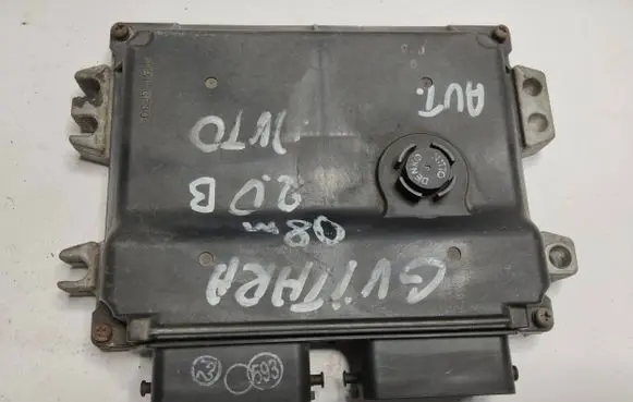 Suzuki Grand Vitara II Other control units/modules 3392165J10 1123005930 165J1