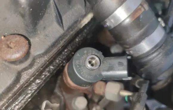 Peugeot 307 Fuel injector 0445110076 9641742880