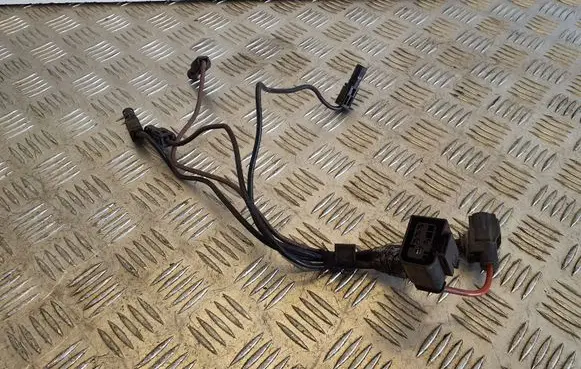 Hyundai Santa Fe Glow plug wires 732000305B