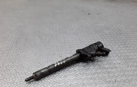 Citroen C4 I Fuel injector 0445110188