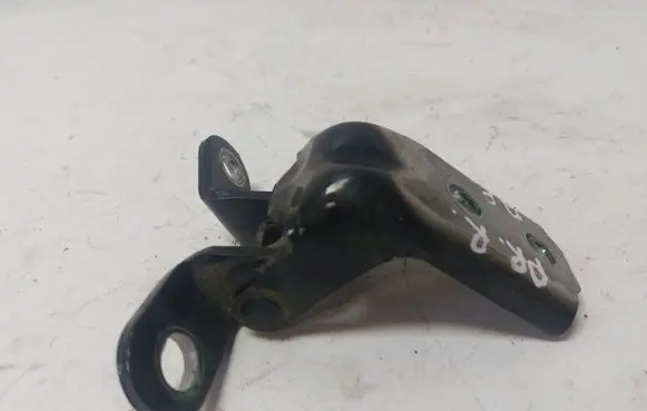 KIA Sorento Front door lower hinge 