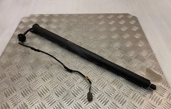 Ford Kuga III Tailgate/trunk strut/damper LV4BS402A55AB