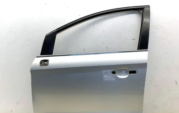 Ford Kuga I Front door