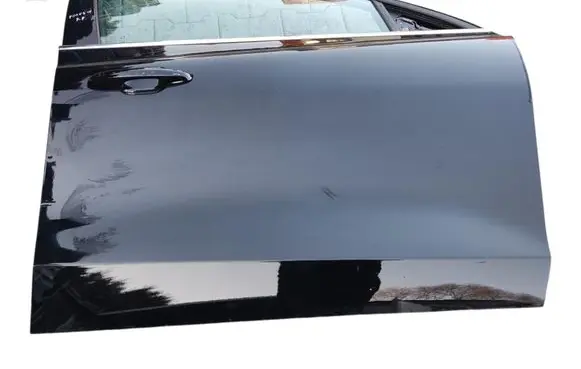 Ford Focus Front door 