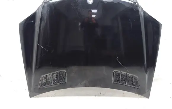 Engine bonnet/hood