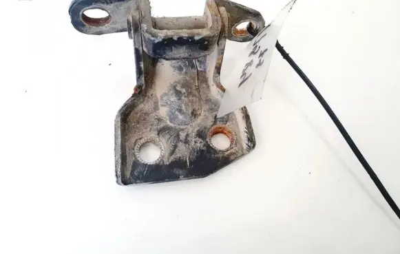 KIA Carens I Rear door lower hinge
