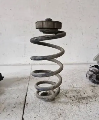 Rear coil spring