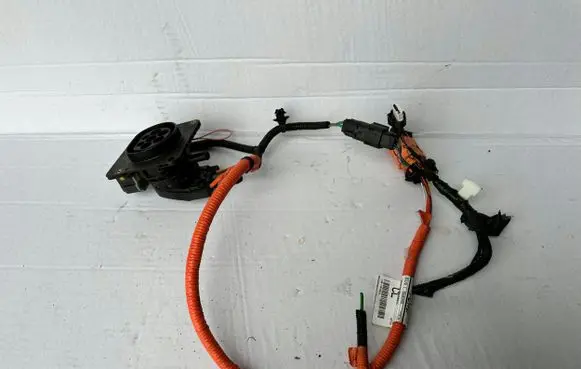 Ford Kuga III Other wiring loom