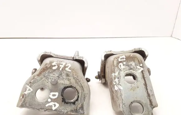 Citroen C3 Front door hinge set EZR