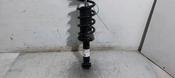 BMW X4 G02 Rear shock absorber/damper 6890945