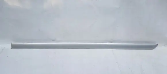 Honda Odyssey Rear door trim (molding)