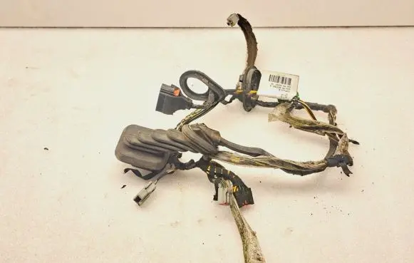 Front door wiring loom