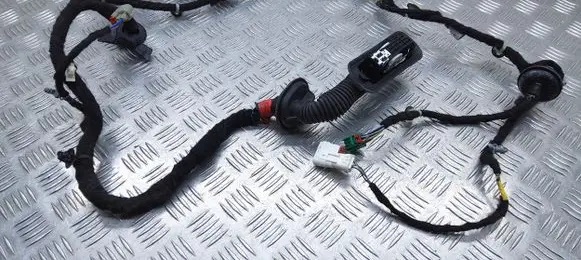 Front door wiring loom