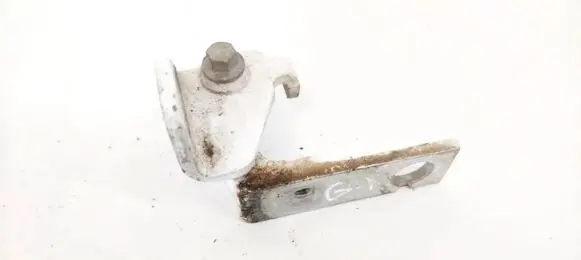 Ford Focus Rear door lower hinge