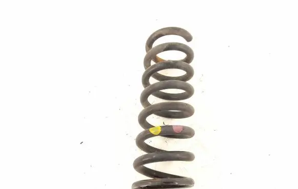 Rear coil spring