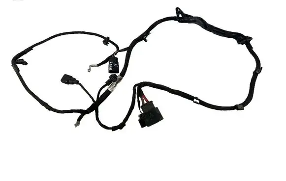 Other wiring loom