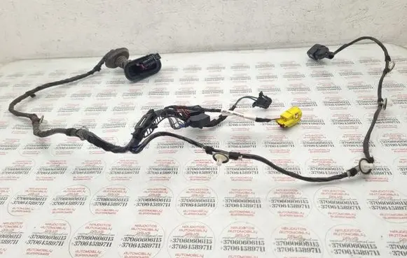 Front door wiring loom