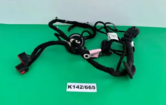 Land Rover Evoque II Other wiring loom K8D2-14633