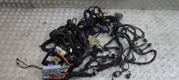 Maserati GranTurismo Wiring harness 