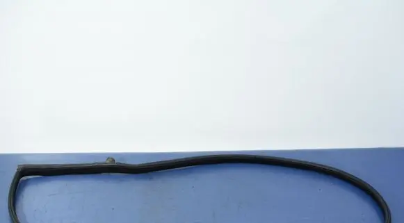 BMW 6 F06 Gran coupe Front door rubber seal 