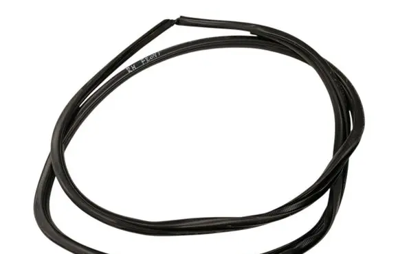 Lexus NX Front door rubber seal 
