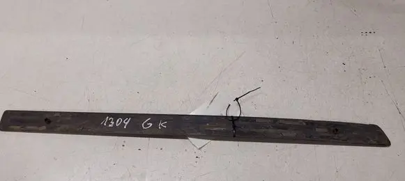 Ford Focus Rear door trim (molding) 3M51R25533A