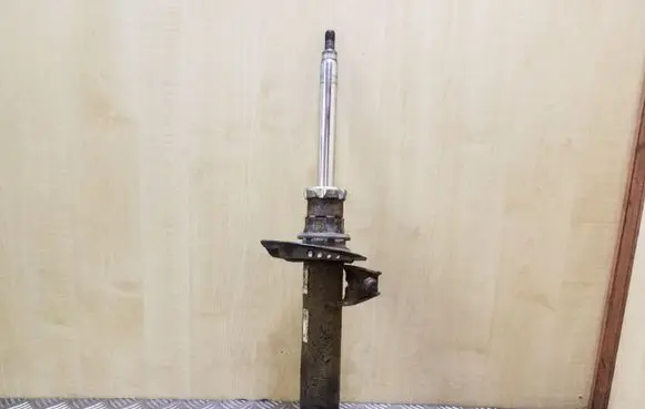 Volkswagen Golf Plus Front shock absorber/damper 1T0413031