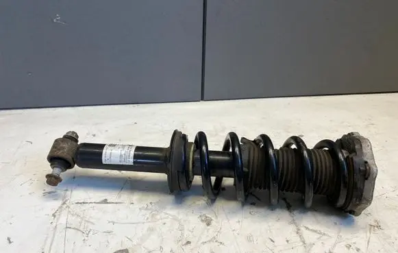 BMW X4 G02 Rear shock absorber/damper 6890945