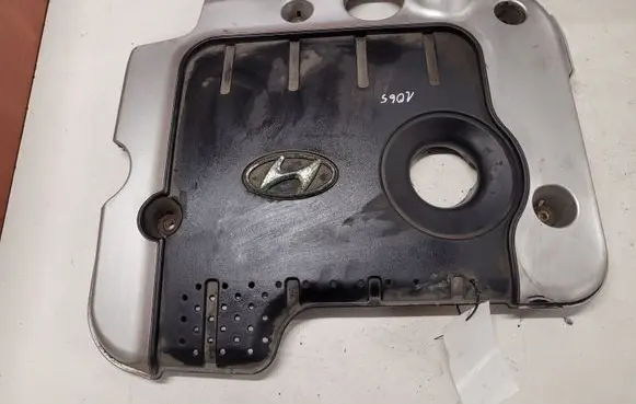 Hyundai Santa Fe Engine cover (trim)